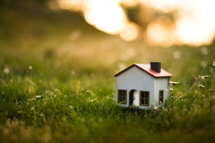 Model of a small house in the meadow with grass and daisies in the evening